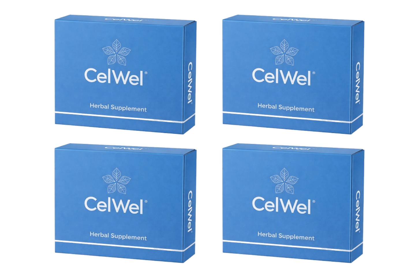 Starter Pack of 4 Boxes $300 (CHxx)